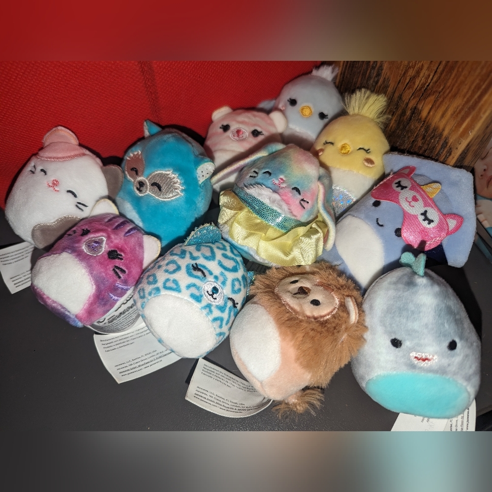 Mini squishmallow